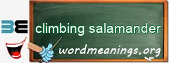 WordMeaning blackboard for climbing salamander